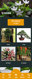 响应式绿植种植花卉类网站模板 - 手机端