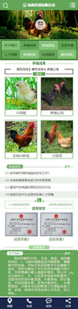 家禽母鸡养殖类网站模板 - 手机端