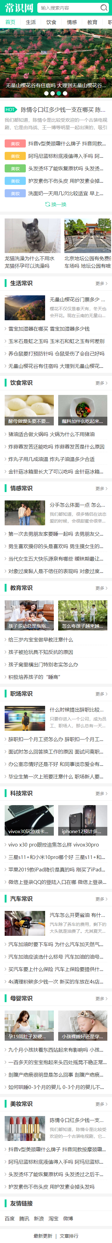 自媒体新闻资讯类网站模板 - 手机端