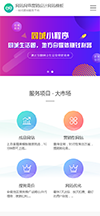 网站网络营销设计网站模板 - 手机端