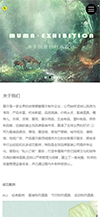 响应式品牌橱窗陈列网站模板 - 手机端